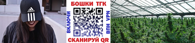 КОКАИН Дагестанские Огни
