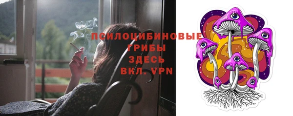 соль ск Бородино