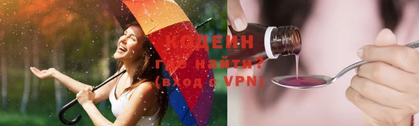 соль ск Бородино