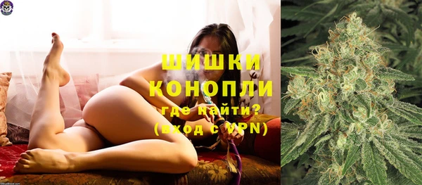 дмт Богородицк